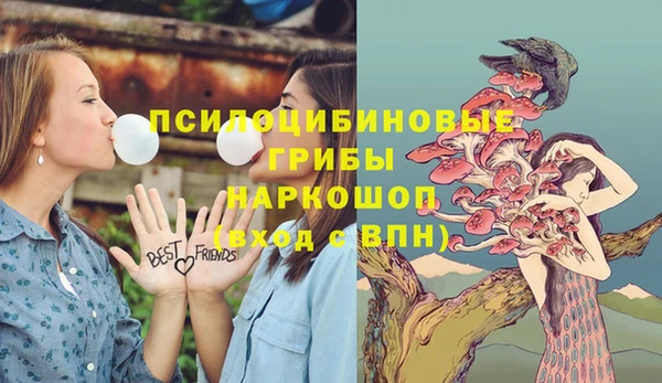 прущие крисы Алексеевка