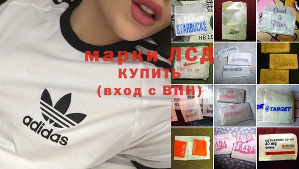 индика Алзамай