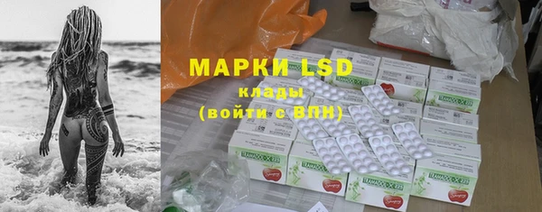 индика Алзамай