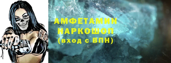 индика Алзамай